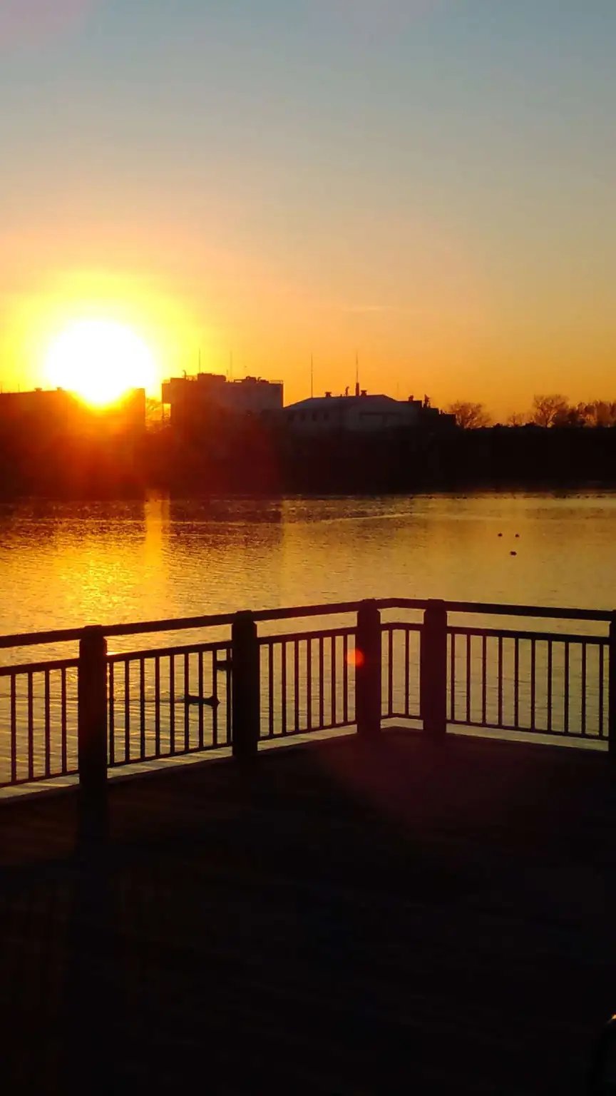 🏞️ 구키 쇼부 공원 이미지 8